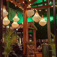 LongBrow's Jungle Bar Tuggerah Image 8 of 8